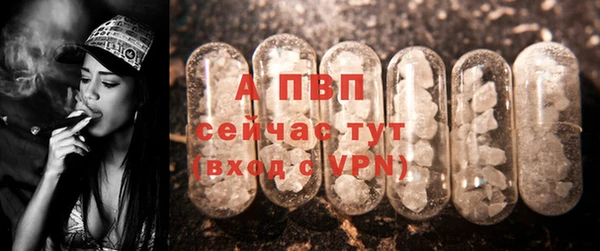 сатива Алексин