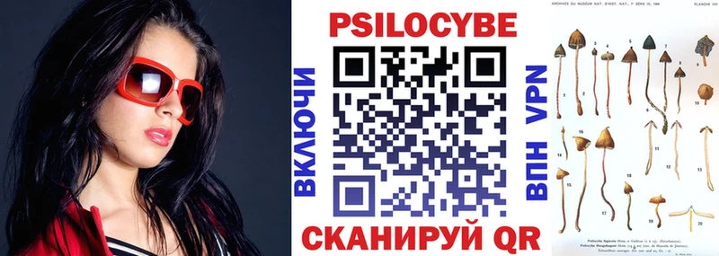 Псилоцибиновые грибы MAGIC MUSHROOMS  закладки  Екатеринбург 