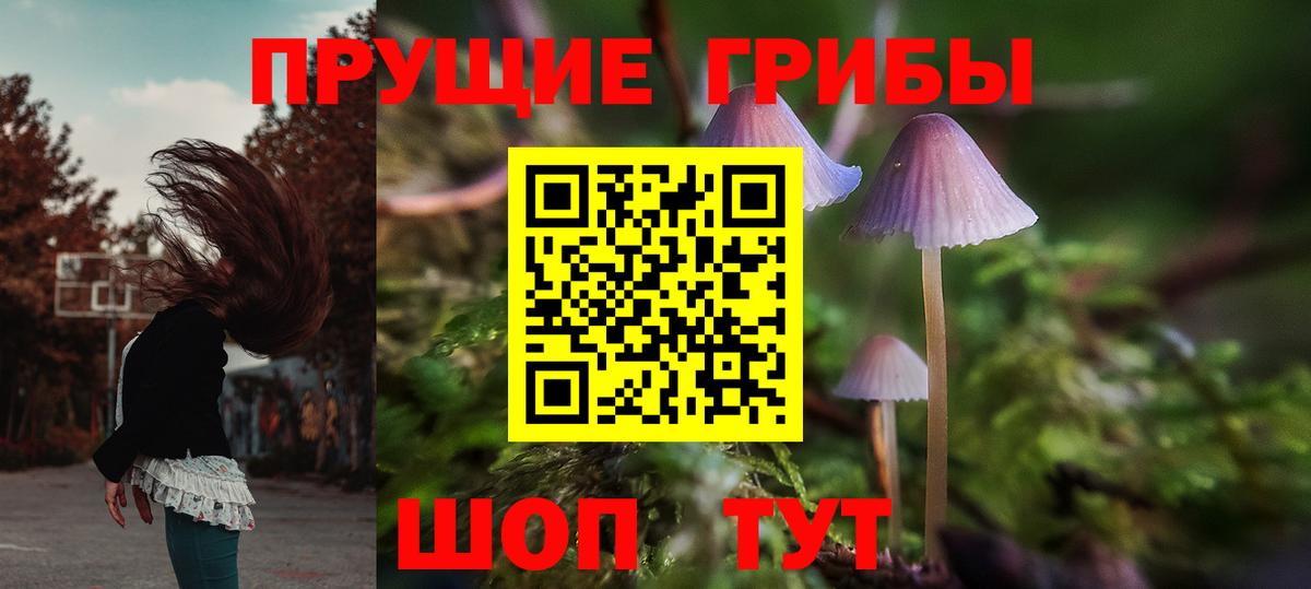 Псилоцибиновые грибы Cubensis Екатеринбург